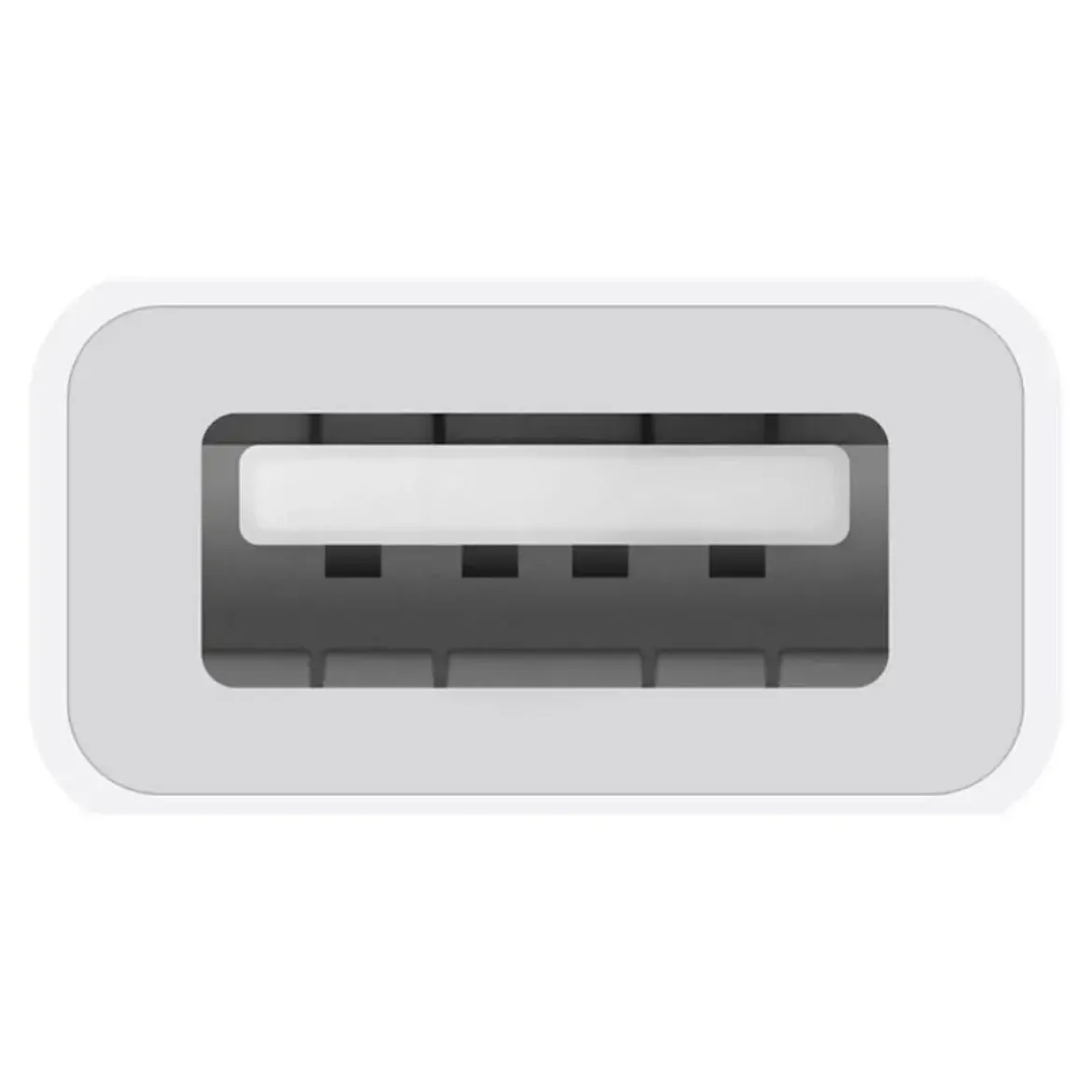 Adaptador Apple USB-C a USB