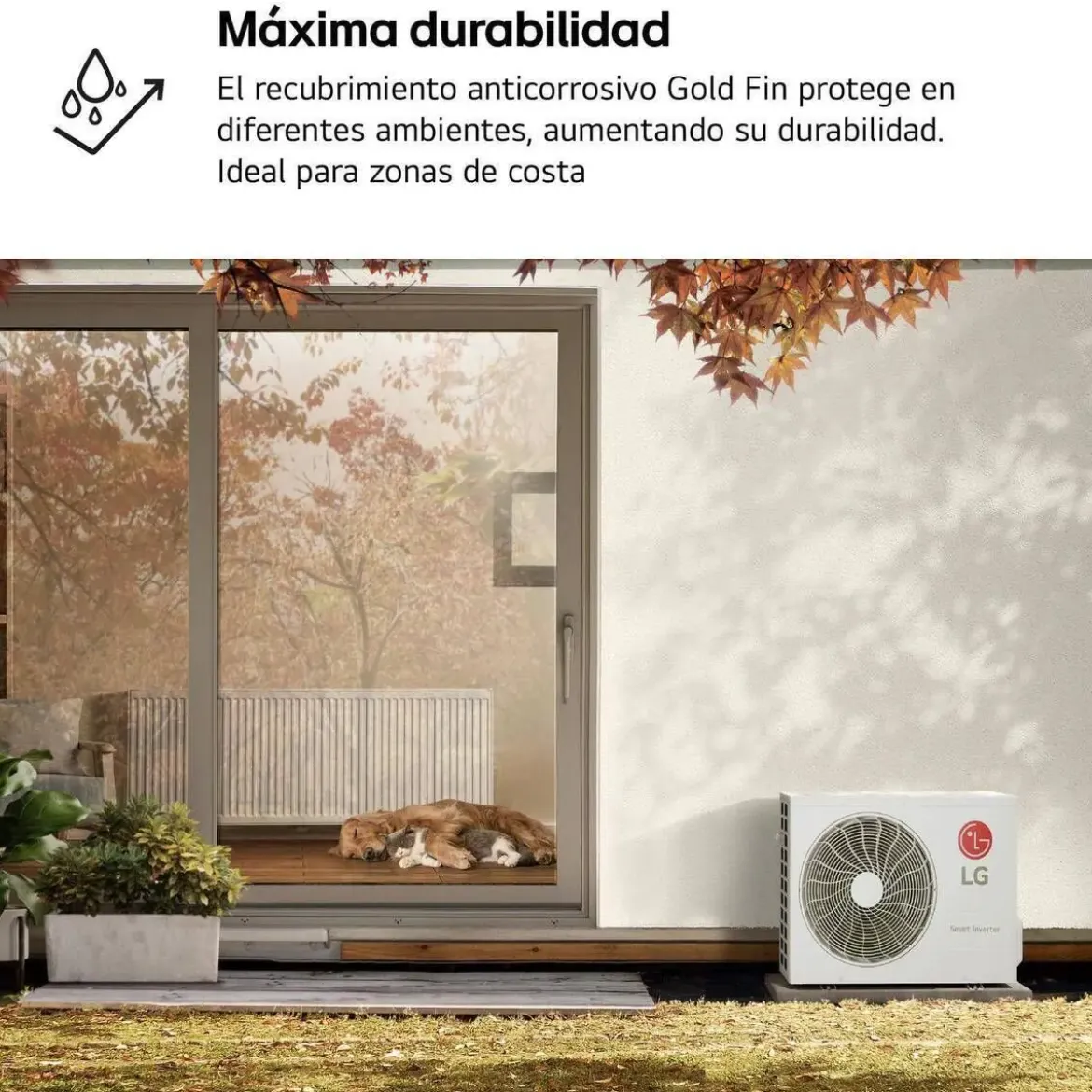 Aire acondicionado LG REPLACE12Z Split Inverter WiFi 3010 Frigorías