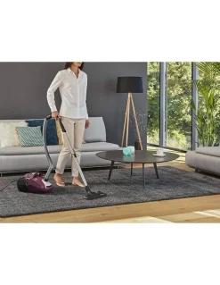 Aspiradora Rowenta con bolsa 750W RO3969