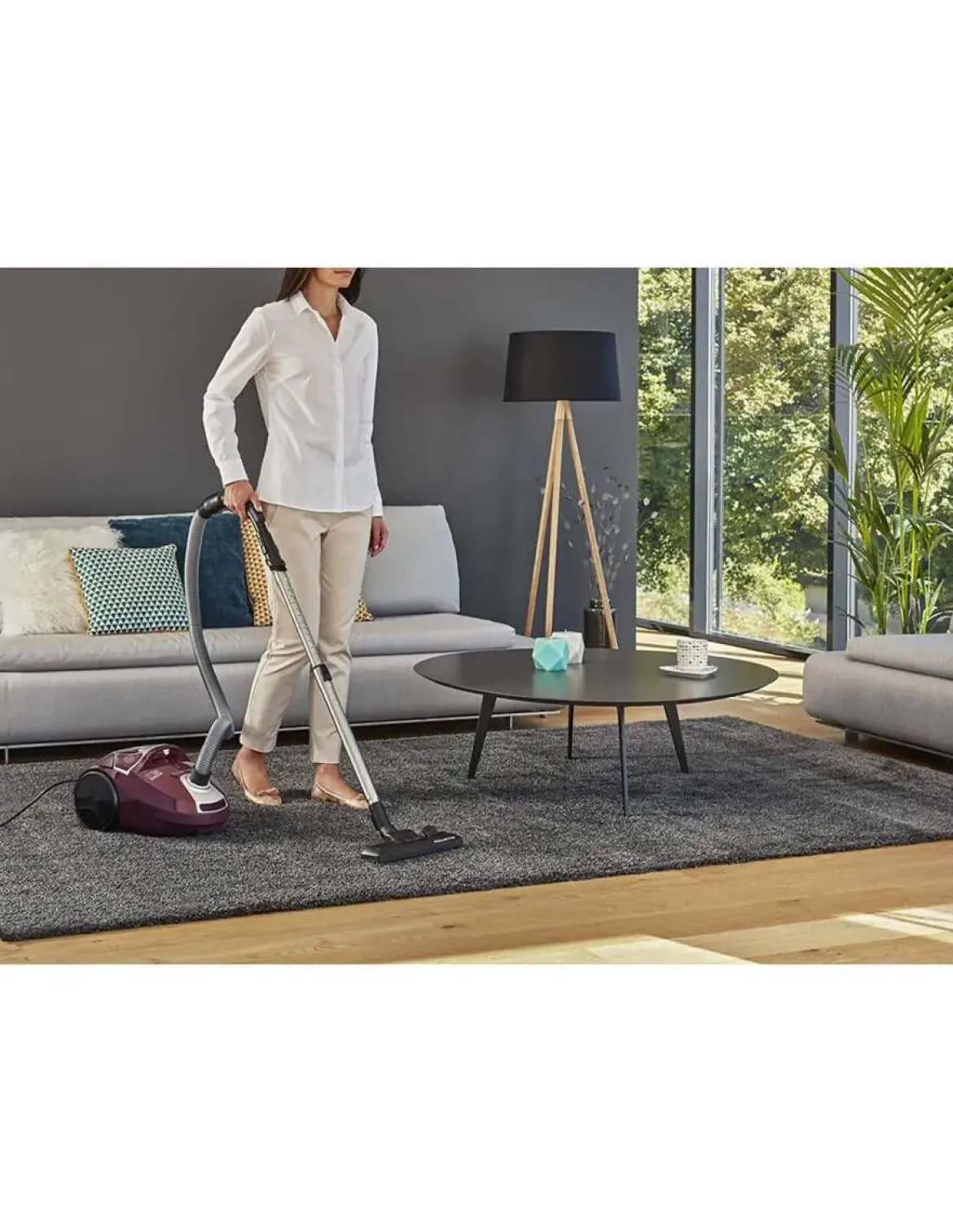 Aspiradora Rowenta con bolsa 750W RO3969