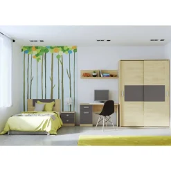 Dormitorio Juvenil con Armario DONALD 4