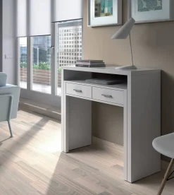 Escritorio con 2 Cajones Color Blanco ArtiK 004582A