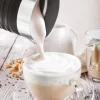Espumador de Leche UFESA NUVELLA 600W 200ml con 3 Funciones