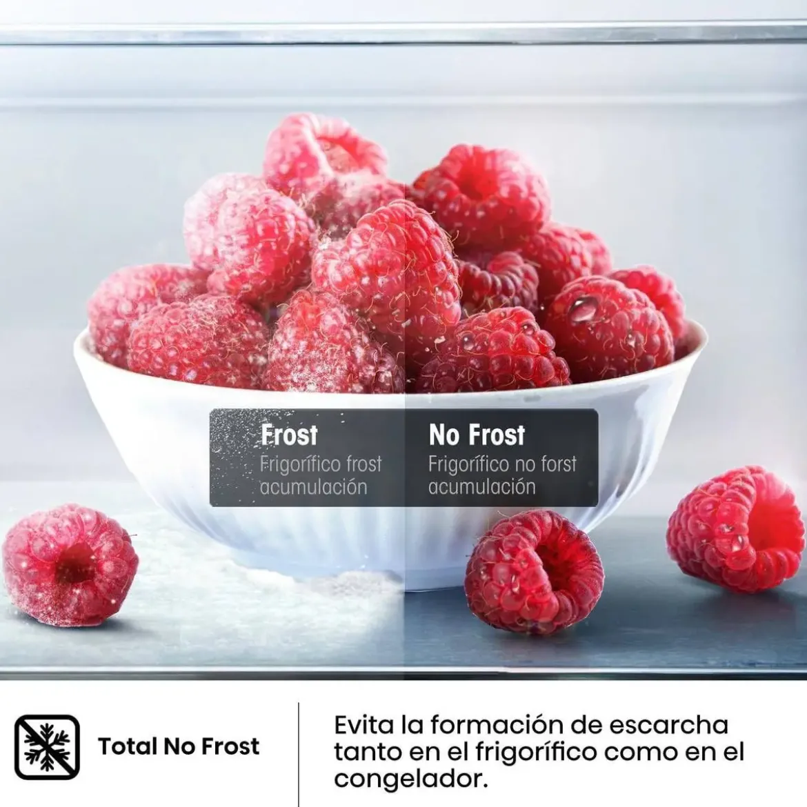 Frigorífico Combi Hisense Inox Inverter 336L Clase D RB440N4ACD
