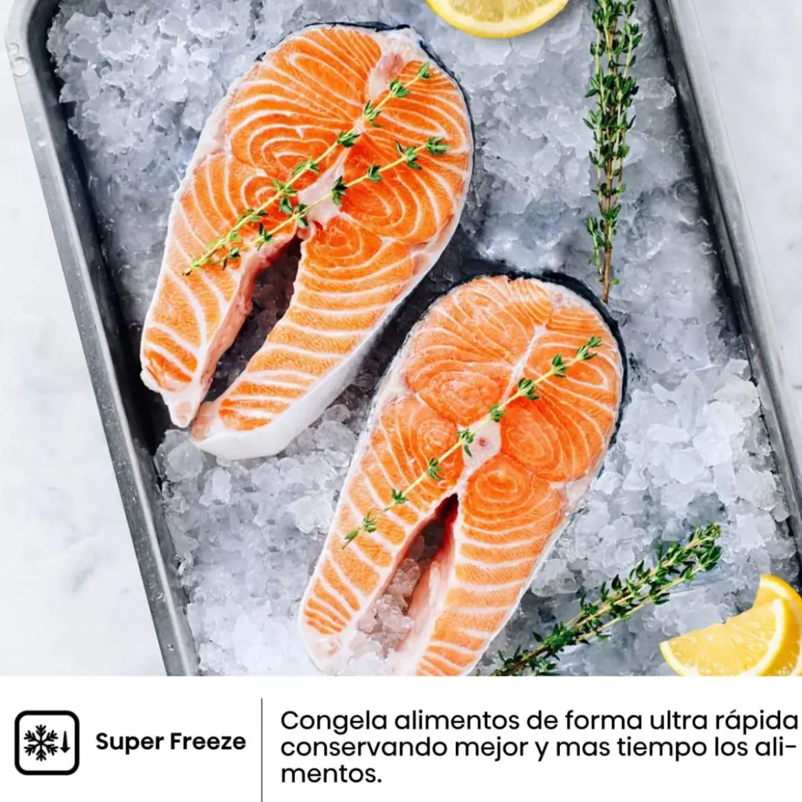 Frigorífico Combi Hisense No Frost 336L Blanco E RB440N4BWE