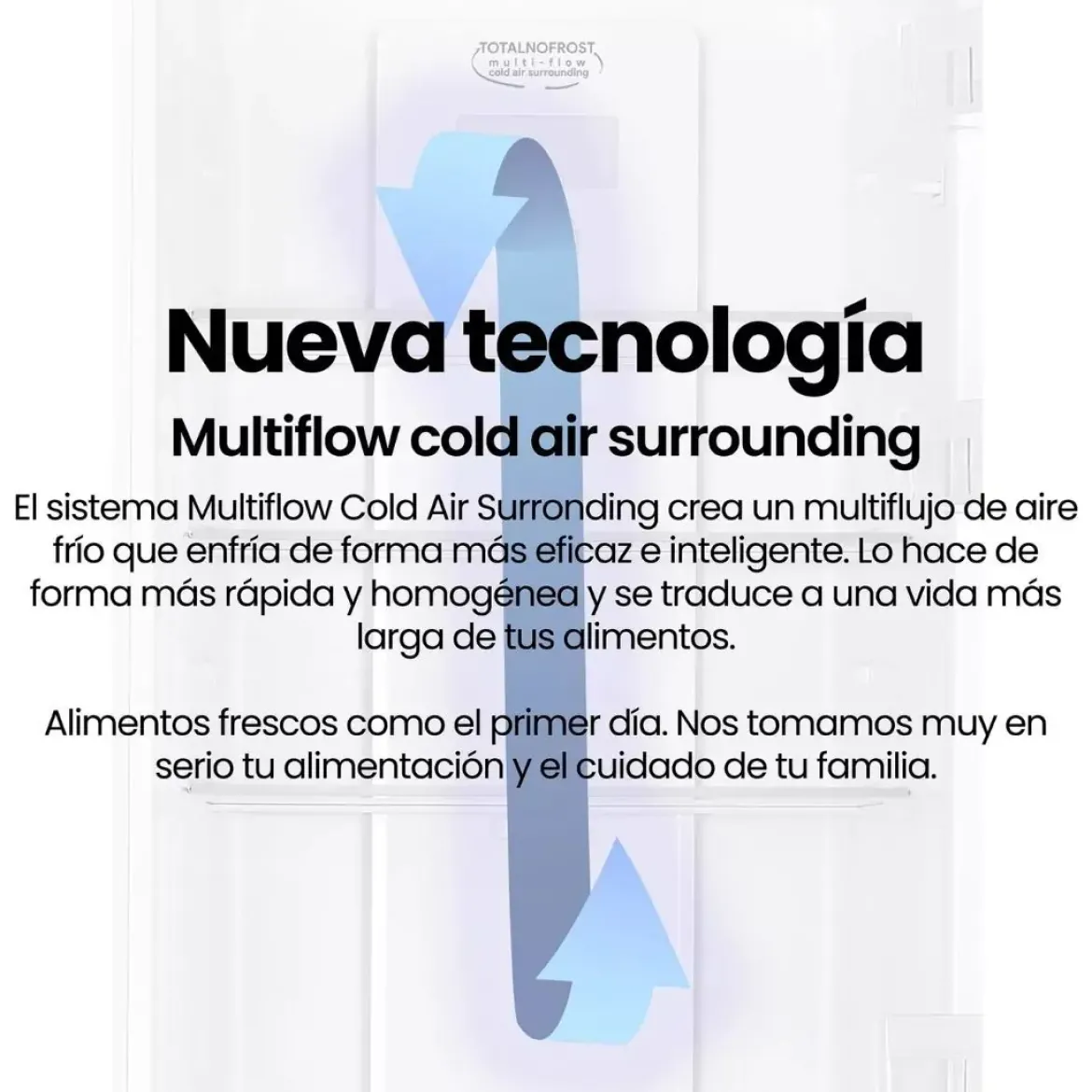 Frigorífico Combi INFINITON No Frost Inox 253L E FGC253C80XEH