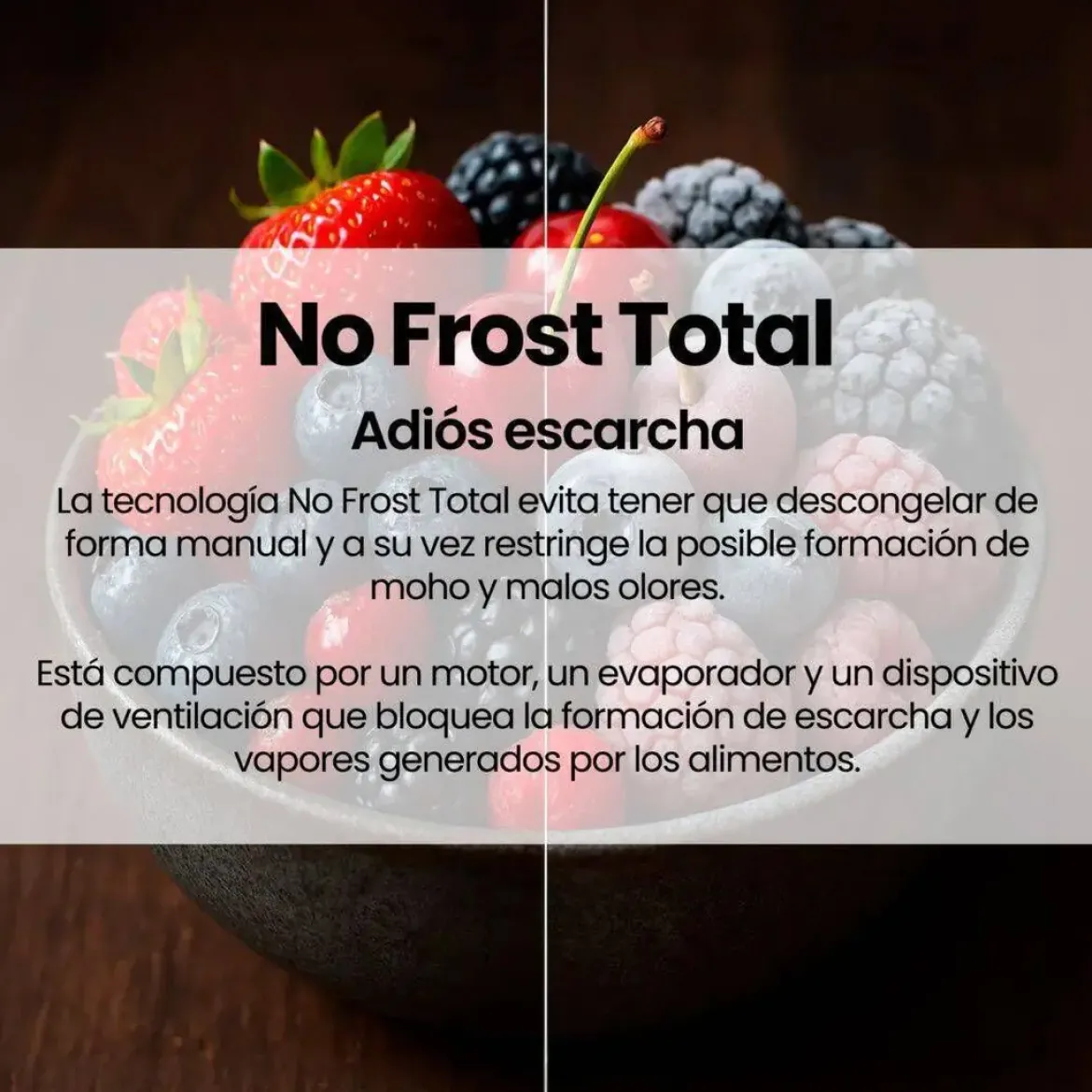 Frigorífico Combi Infiniton Total No Frost 326 Litros Inox FGC343C20XEN