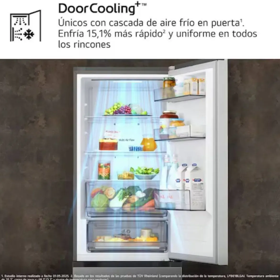 Frigorífico Combi Inox Door Cooling Clase D LG GBBSJ11DPY
