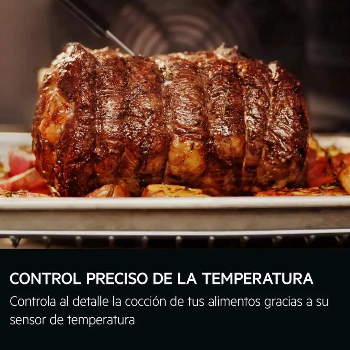 Horno Multifunción Pirolítico Vapor A++ AEG TR6PB531SB