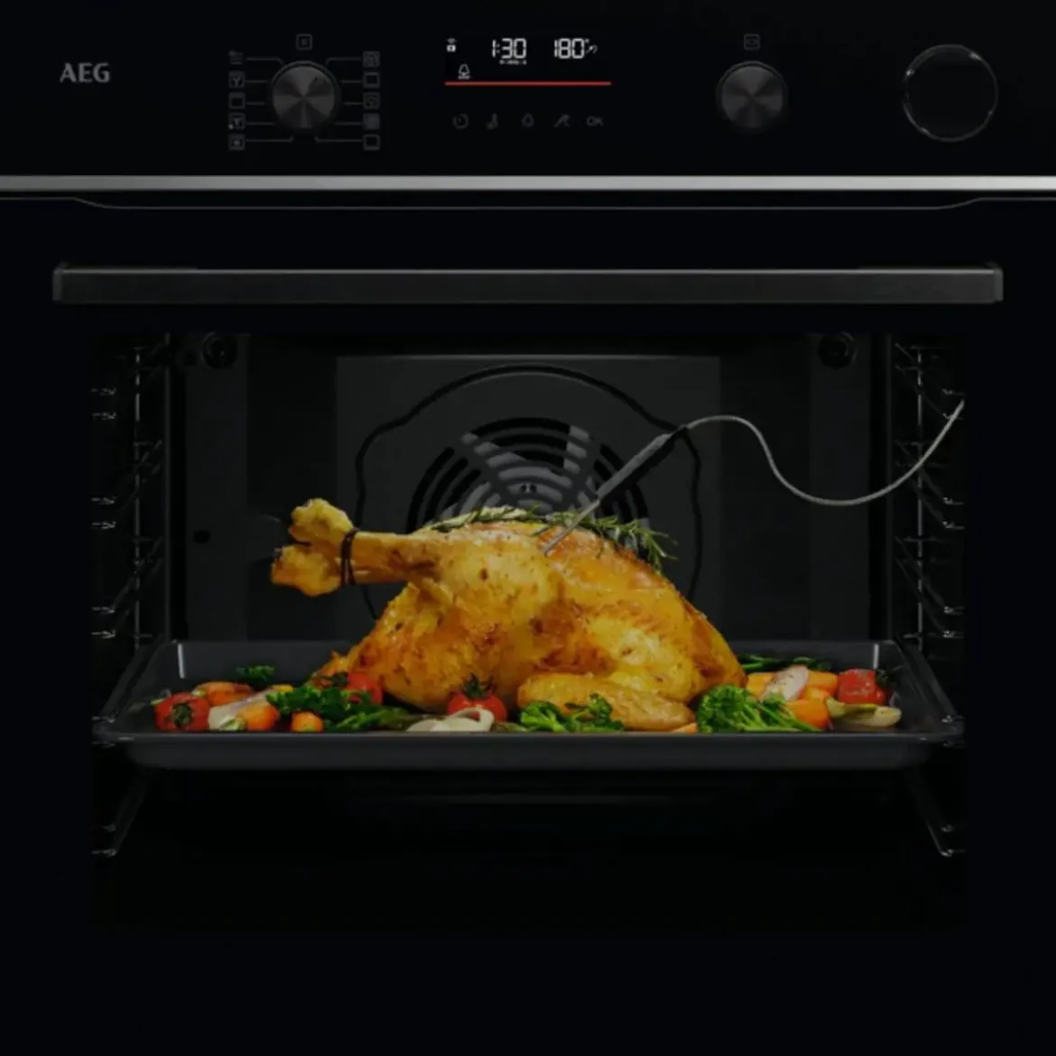 Horno Multifunción Pirolítico Vapor A++ AEG TR6PB531SB