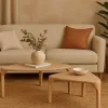 Mesa de Centro Nido Set 2 de Madera de Mango MB-221943