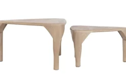Mesa de Centro Nido Set 2 de Madera de Mango MB-221943