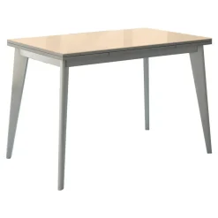 Mesa de Cocina Fija con Tablero de Cristal 131/AL ERGO