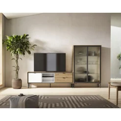 Mueble de TV con Puerta y 2 Cajones Amazona-Blanco K2