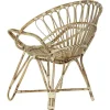 Silla de Jardín de Ratán Natural con Reposabrazos MB-182515
