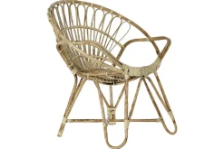 Silla de Jardín de Ratán Natural con Reposabrazos MB-182515