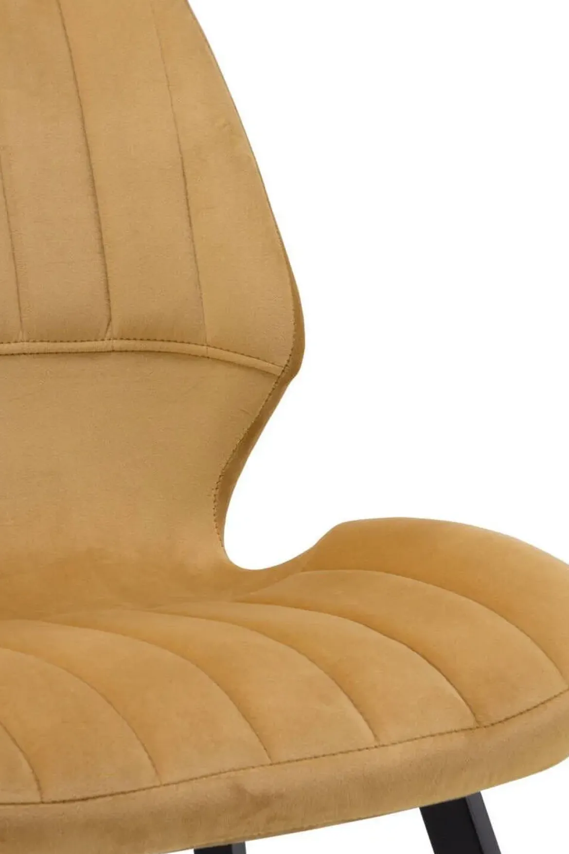 Silla tapizada en terciopelo GABAR VIVE modelo 8390