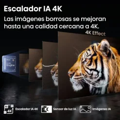 Televisor 100