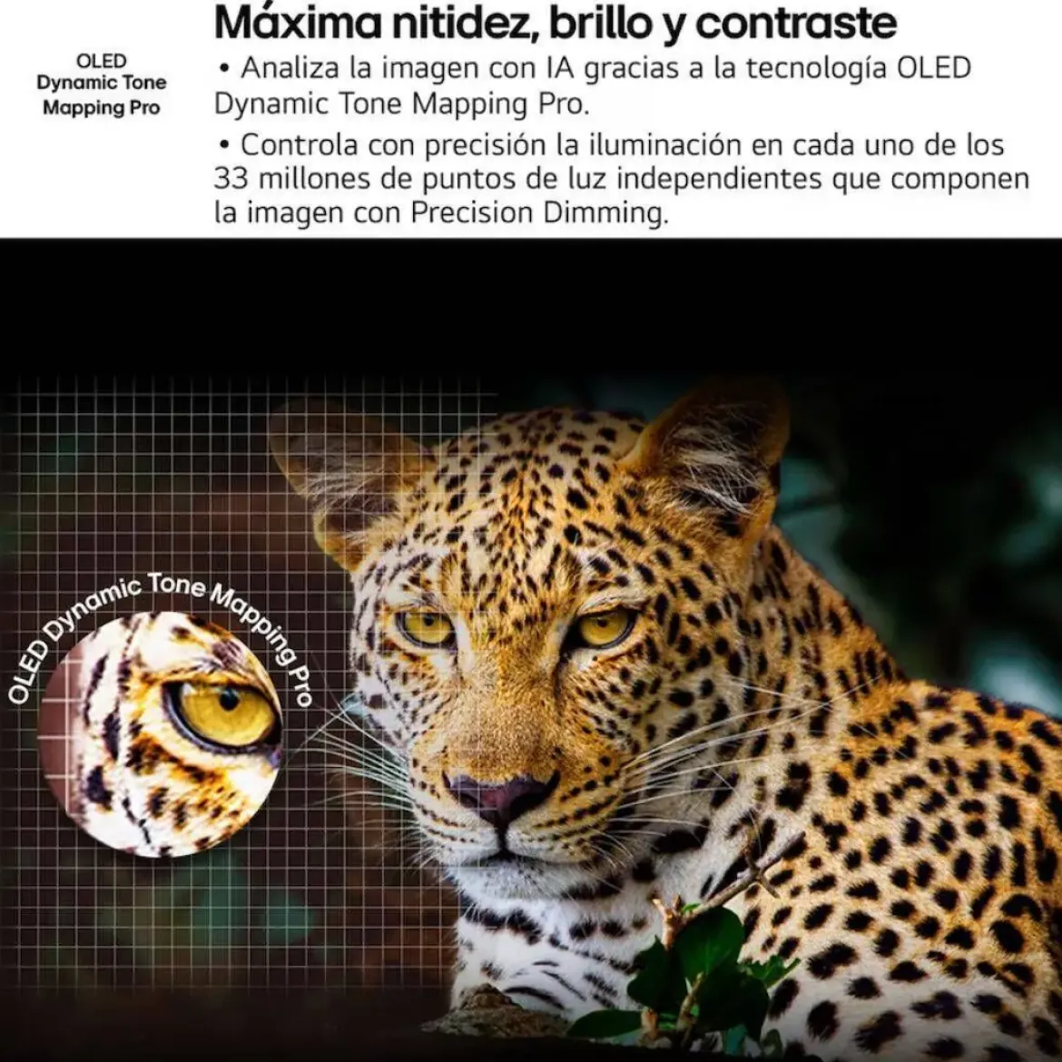 Televisor 65" LG OLED evo4K 120HzSmart TV OLED65C56LB Artículo de Exposición