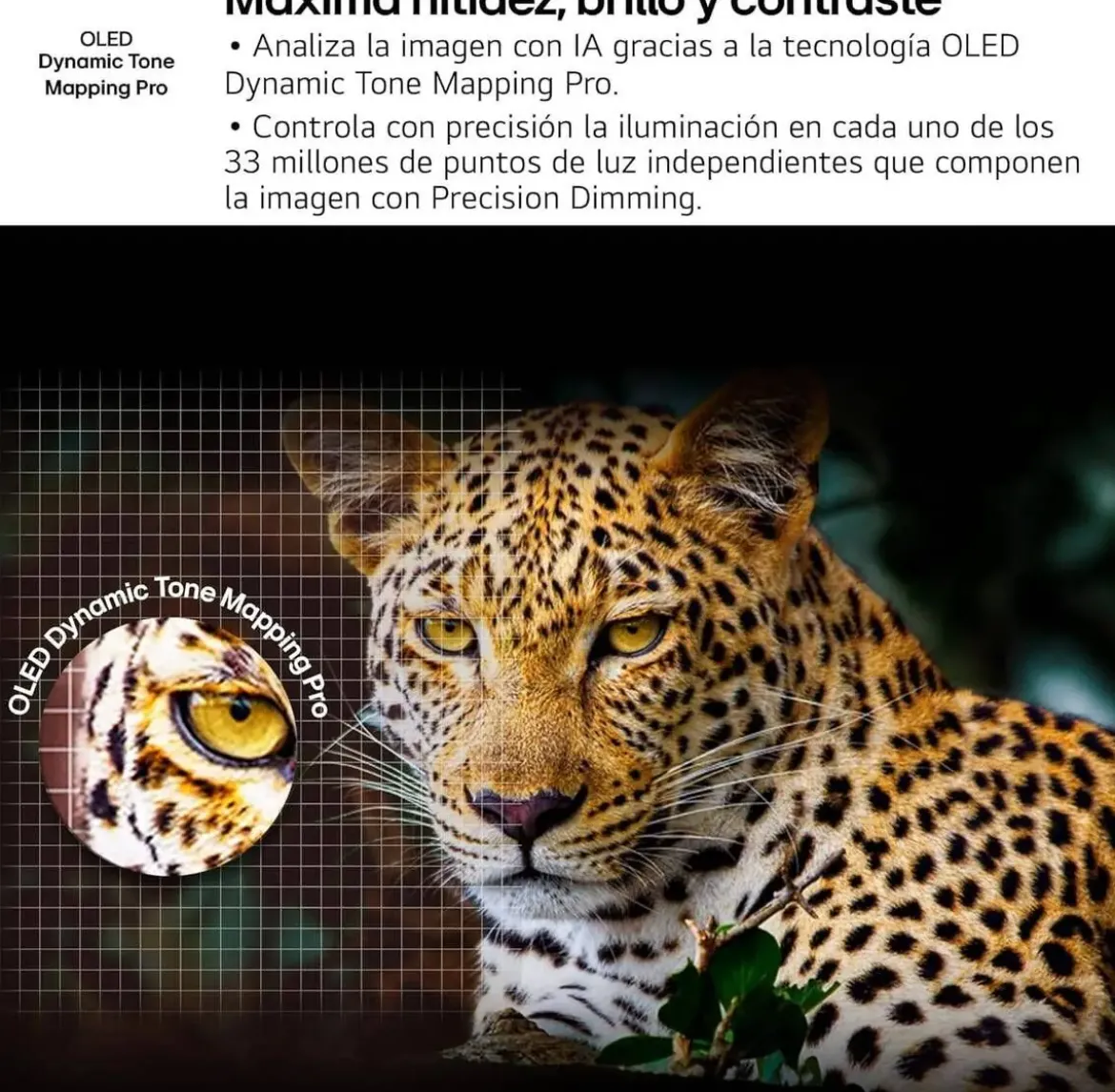 Televisor LG OLED 42" 4K Smart TV webOS OLED42C54LA