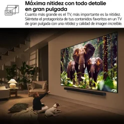 Televisor 75