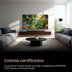 Televisor 77
